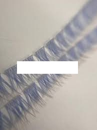 مژه فیشر آمبره آبی سفید سایز 12